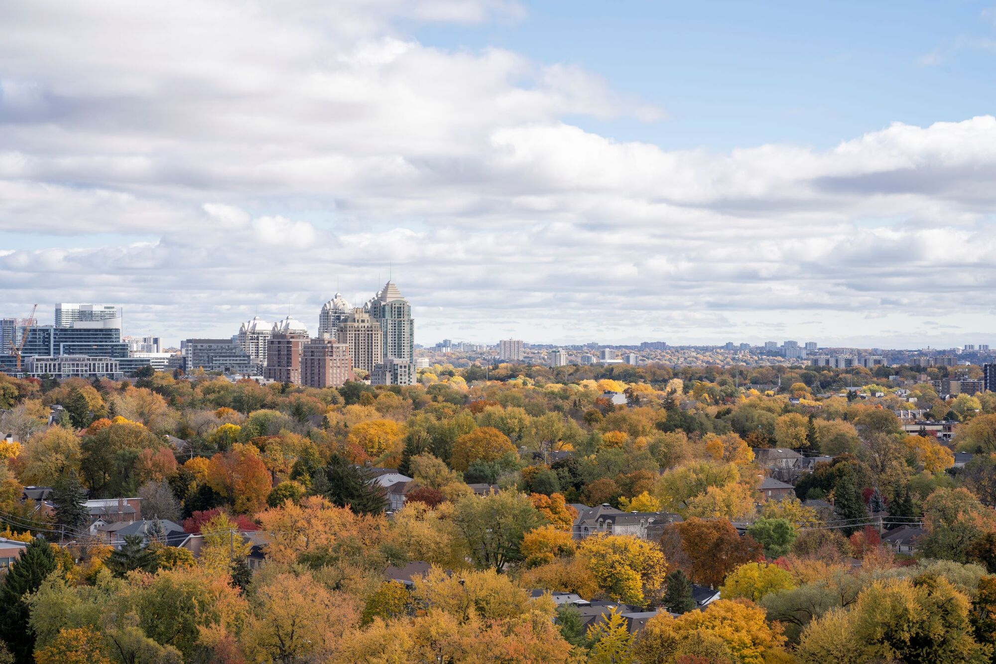 North York Skyline