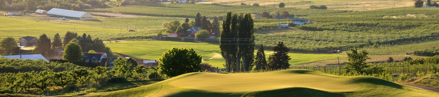 Fields